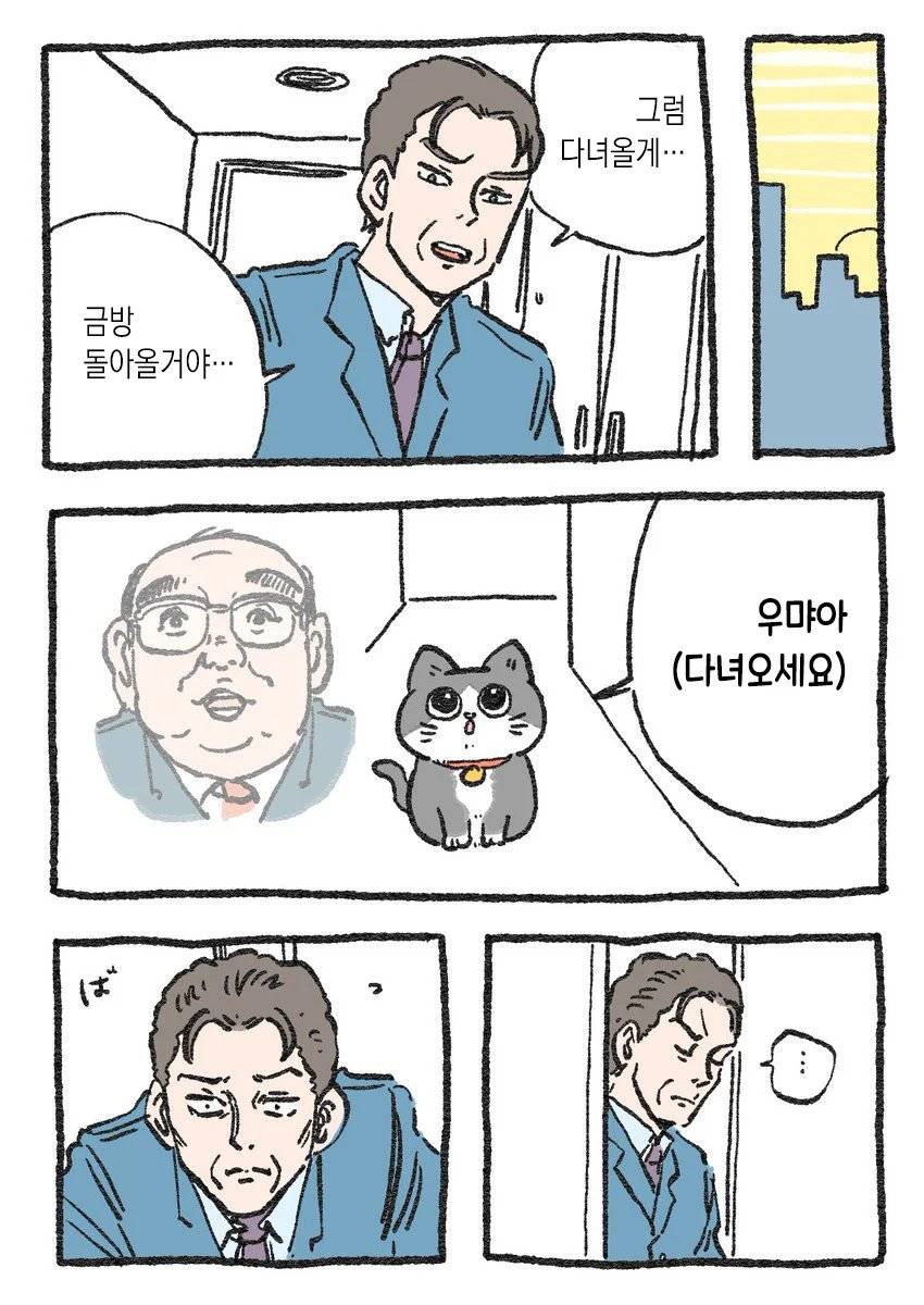 고양이가 되어버린 중년남자.Manhwa | 인스티즈