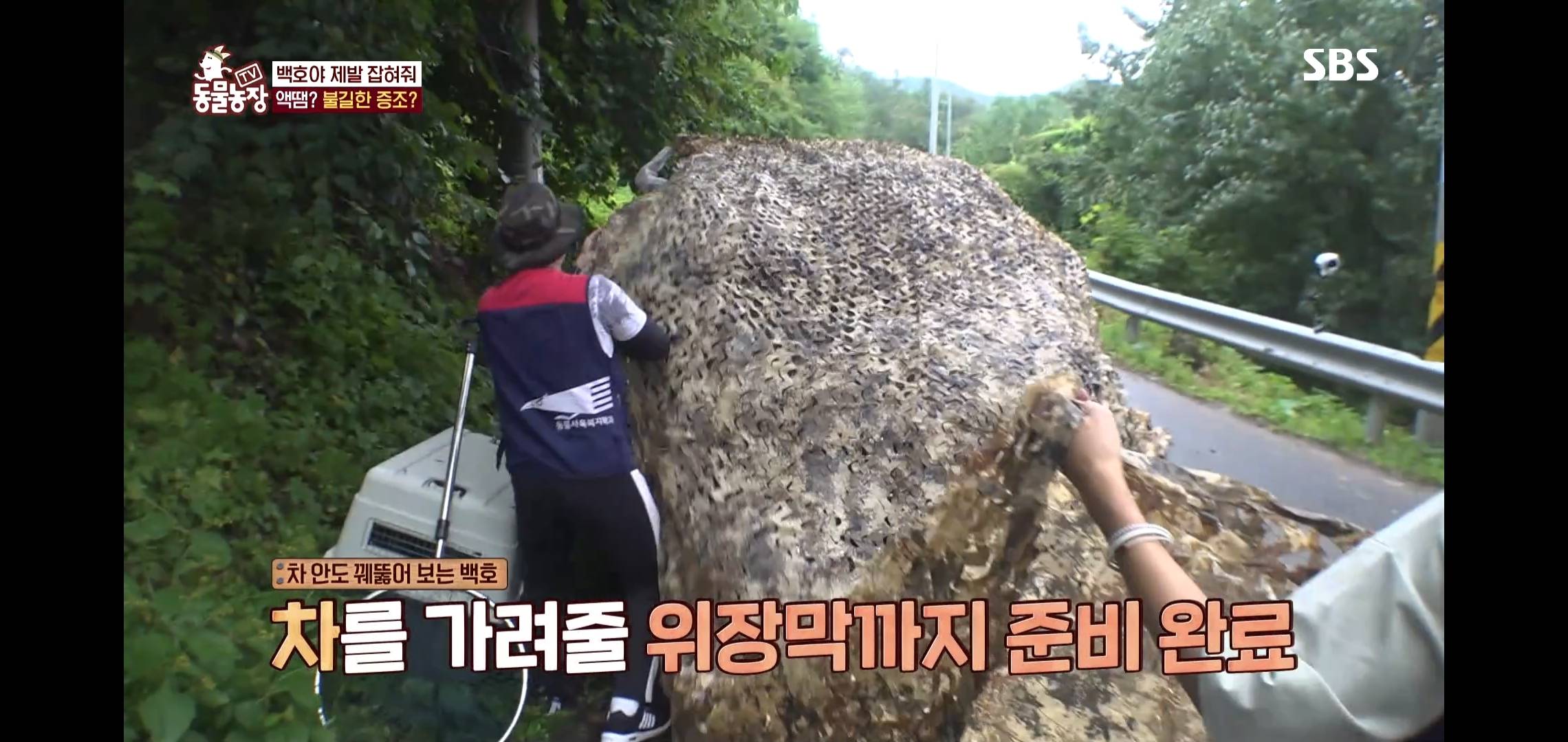 개가 너무 똑똑해서 역대급으로 구조 힘들었던 이번주 동물농장 방송.jpg | 인스티즈