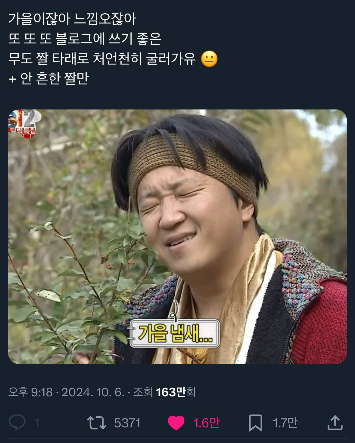 날씨좋~은 때에 보는 트위터 모음🍁 | 인스티즈