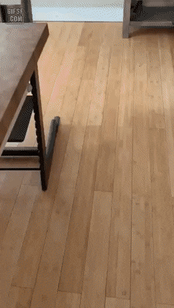 아빠 이거 드세요 .gif | 인스티즈