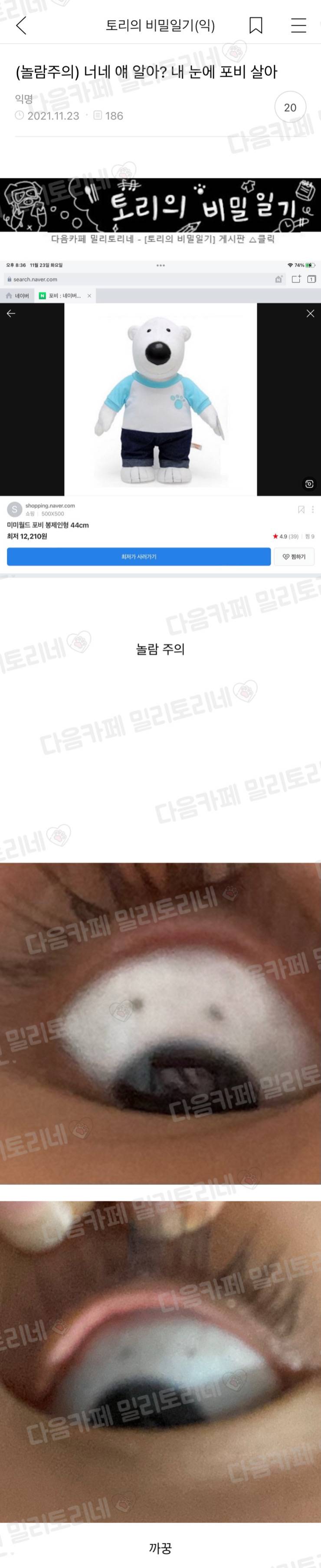 (놀람주의) 너네 얘 알아? 내 눈에 포비 살아 | 인스티즈