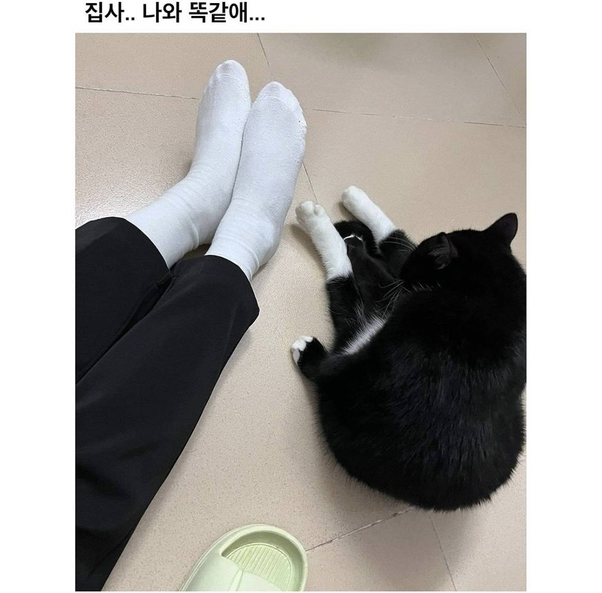 깜고 해야 하는 이유��‍⬛.jpg | 인스티즈