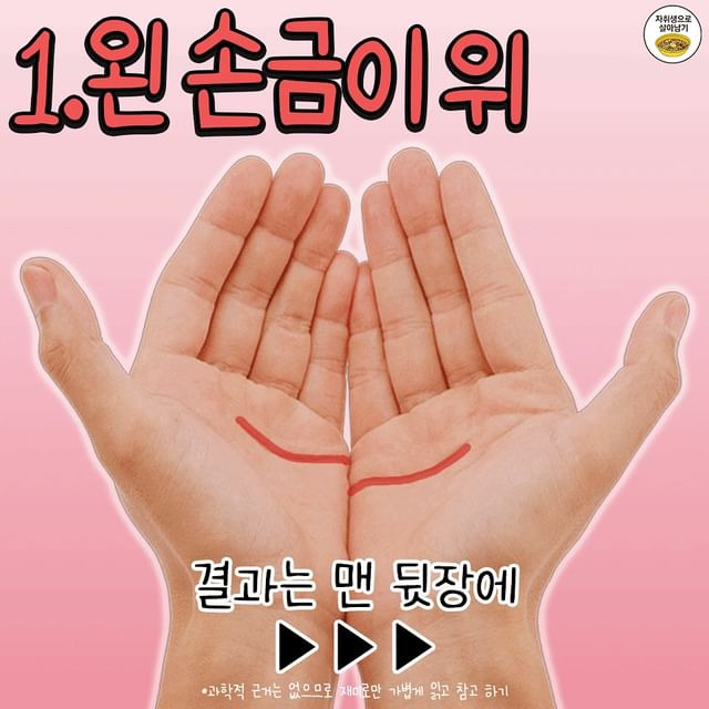 손금으로 보는 연애 스타일.jpg | 인스티즈