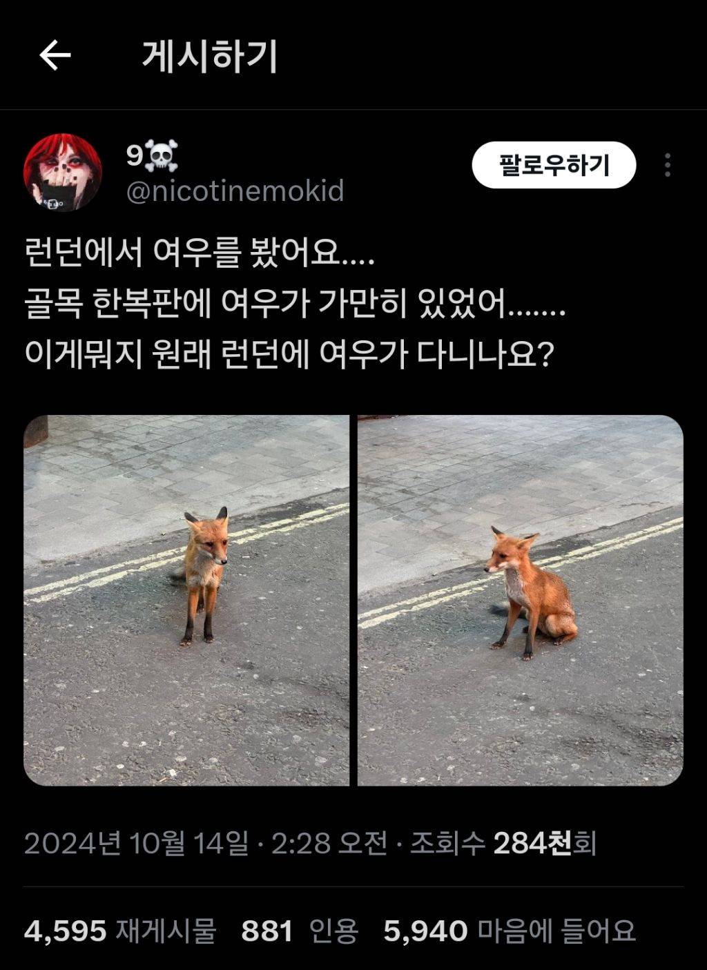 이게뭐지 원래 런던에 여우가 다니나요? | 인스티즈