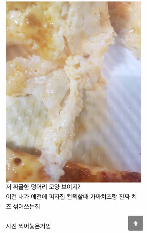 이글 보고 진짜치즈 쓰는 피자집 찾아내는 달글 | 인스티즈