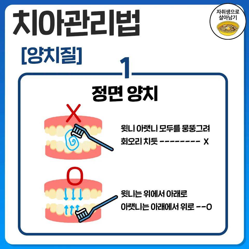 당장 오늘부터 시작하는 치아관리법 | 인스티즈