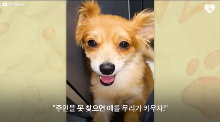 운전하다 댕줍하신 어느 운전자분 사연...ㅠㅠ | 인스티즈