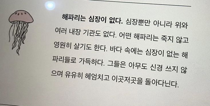 해파리, 물고기 그리고 조개껍데기, 갑각류와 갯강구 그리고 | 인스티즈
