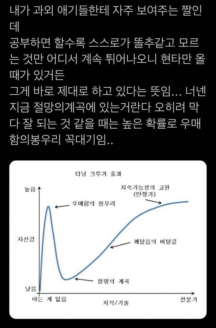 해파리, 물고기 그리고 조개껍데기, 갑각류와 갯강구 그리고 | 인스티즈