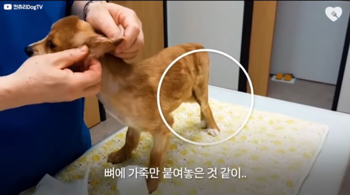 운전하다 댕줍하신 어느 운전자분 사연...ㅠㅠ | 인스티즈