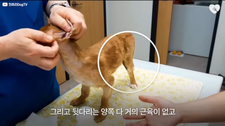 운전하다 댕줍하신 어느 운전자분 사연...ㅠㅠ | 인스티즈