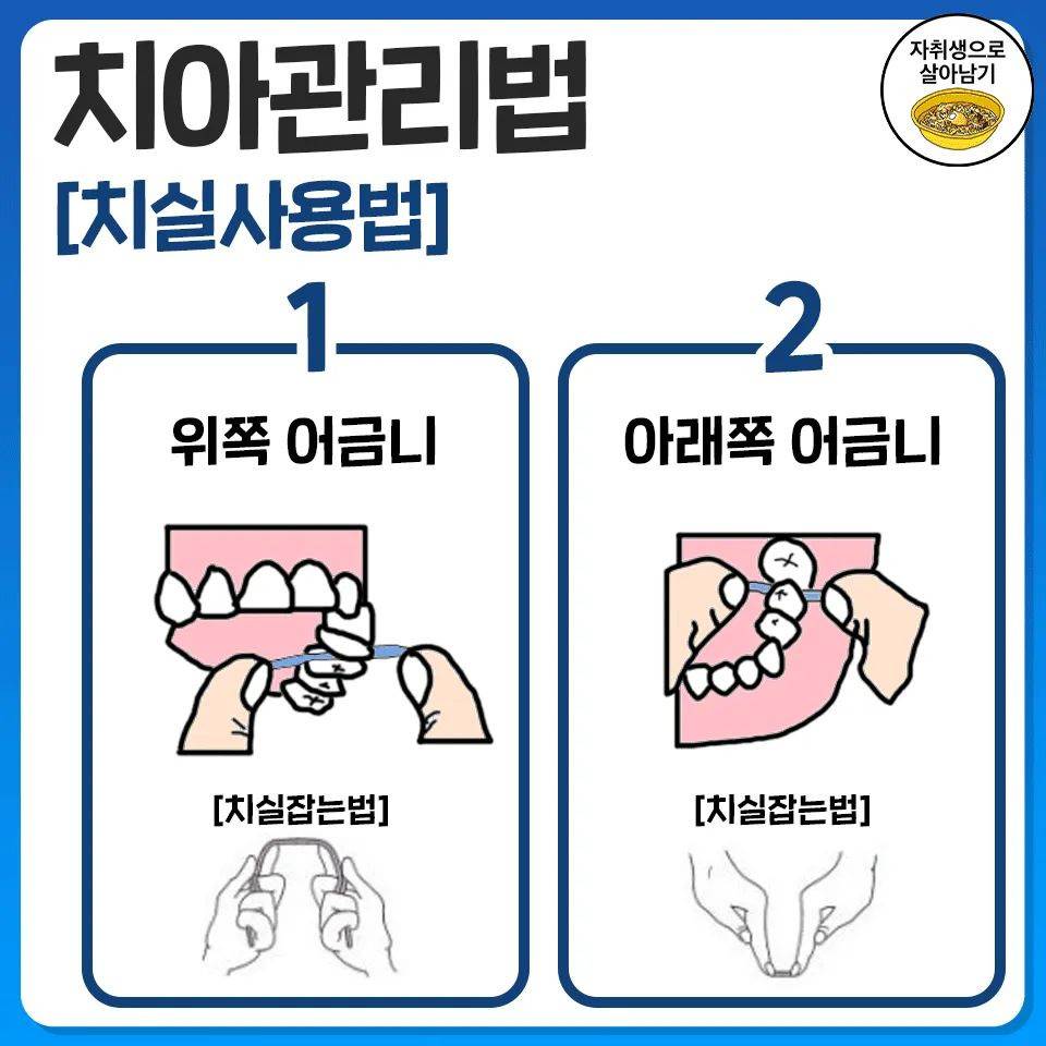 당장 오늘부터 시작하는 치아관리법 | 인스티즈