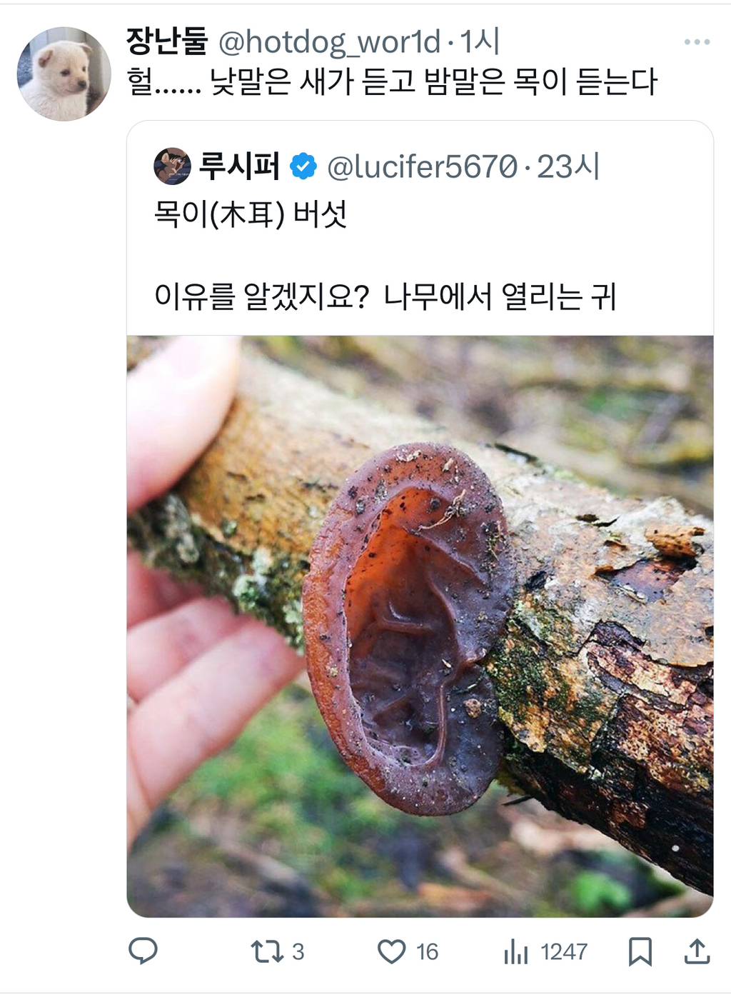 나 회사 개꿀직장인데 성취감이 전혀 없어... | 인스티즈