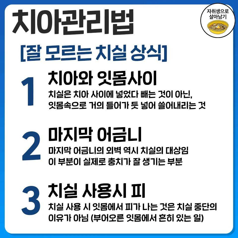 당장 오늘부터 시작하는 치아관리법 | 인스티즈