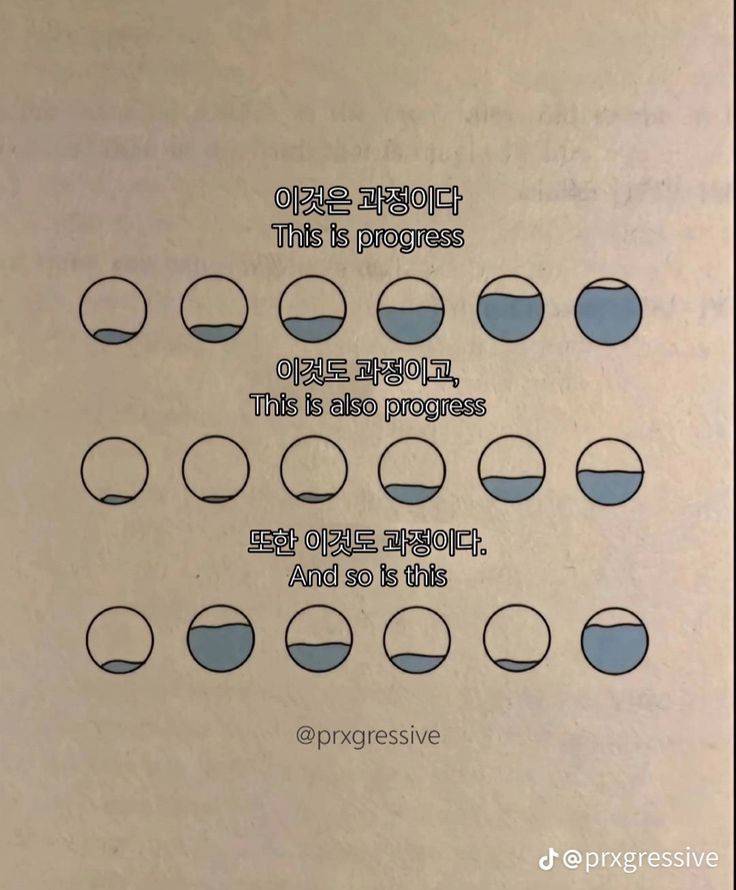 해파리, 물고기 그리고 조개껍데기, 갑각류와 갯강구 그리고 | 인스티즈