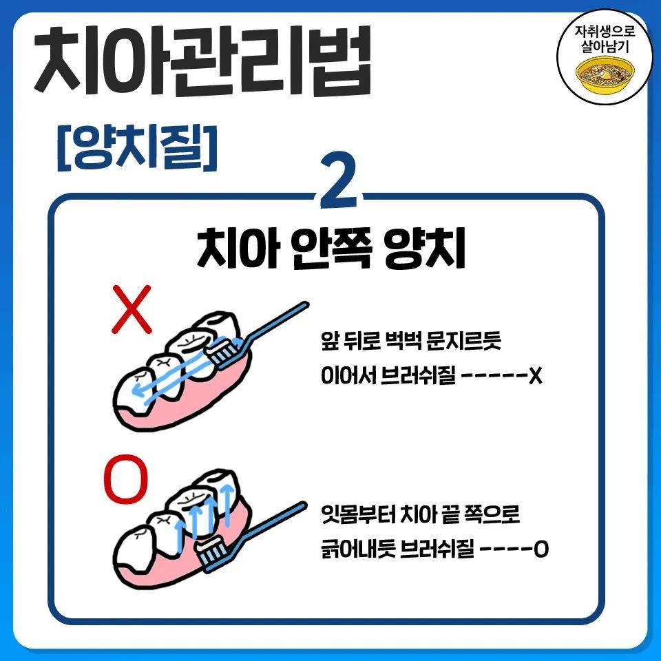 당장 오늘부터 시작하는 치아관리법 | 인스티즈