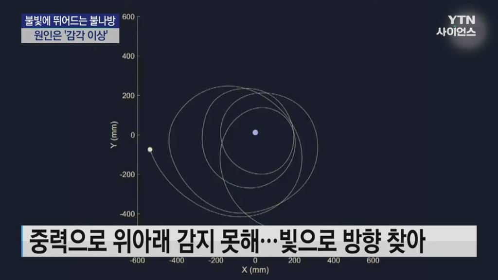 불빛으로 뛰어드는 불나방...원인은 '감각 이상' | 인스티즈