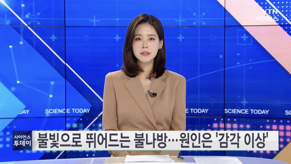 불빛으로 뛰어드는 불나방...원인은 '감각 이상' | 인스티즈