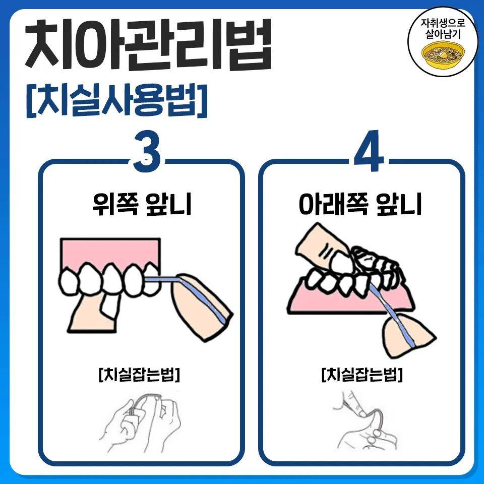 당장 오늘부터 시작하는 치아관리법 | 인스티즈