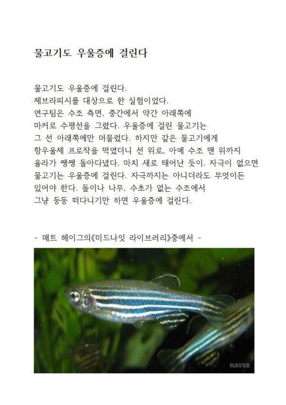 해파리, 물고기 그리고 조개껍데기, 갑각류와 갯강구 그리고 | 인스티즈