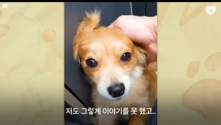 운전하다 댕줍하신 어느 운전자분 사연...ㅠㅠ | 인스티즈