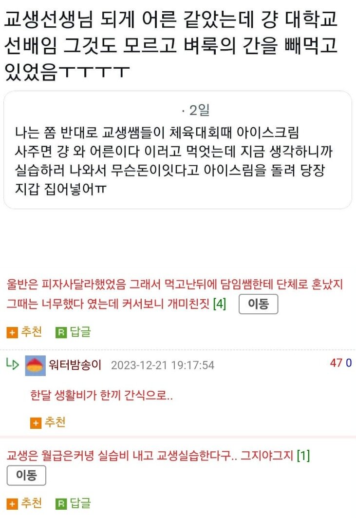 어른이 되면 바뀌는 교생에 대한 인식 | 인스티즈