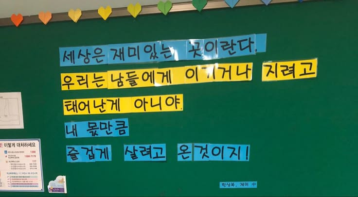 해파리, 물고기 그리고 조개껍데기, 갑각류와 갯강구 그리고 | 인스티즈