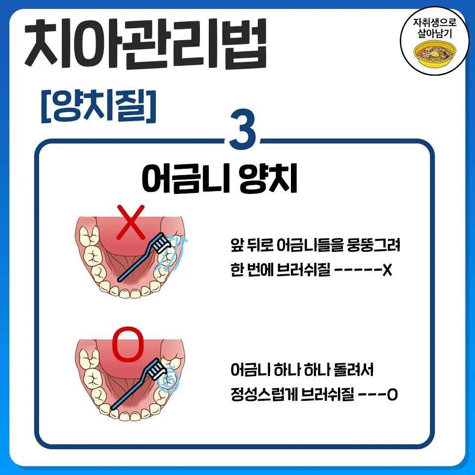 당장 오늘부터 시작하는 치아관리법 | 인스티즈