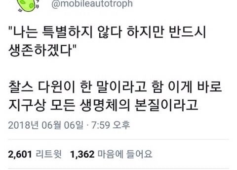 해파리, 물고기 그리고 조개껍데기, 갑각류와 갯강구 그리고 | 인스티즈