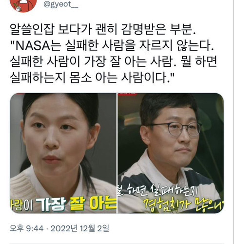 해파리, 물고기 그리고 조개껍데기, 갑각류와 갯강구 그리고 | 인스티즈