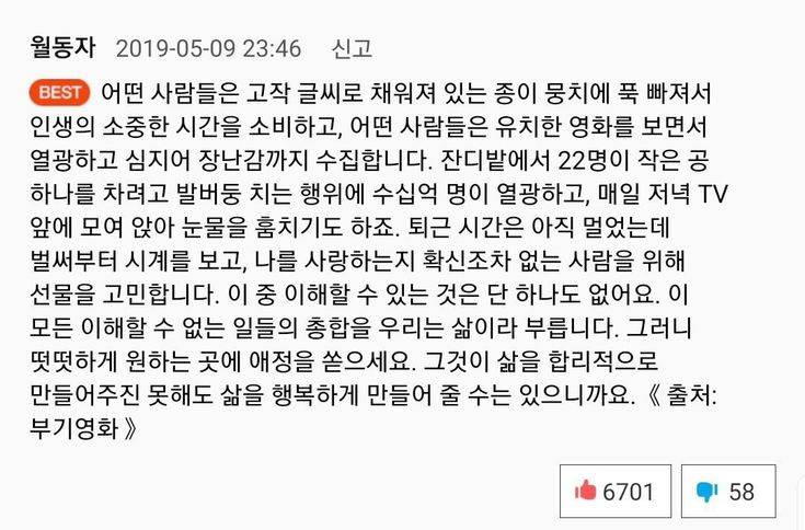 해파리, 물고기 그리고 조개껍데기, 갑각류와 갯강구 그리고 | 인스티즈