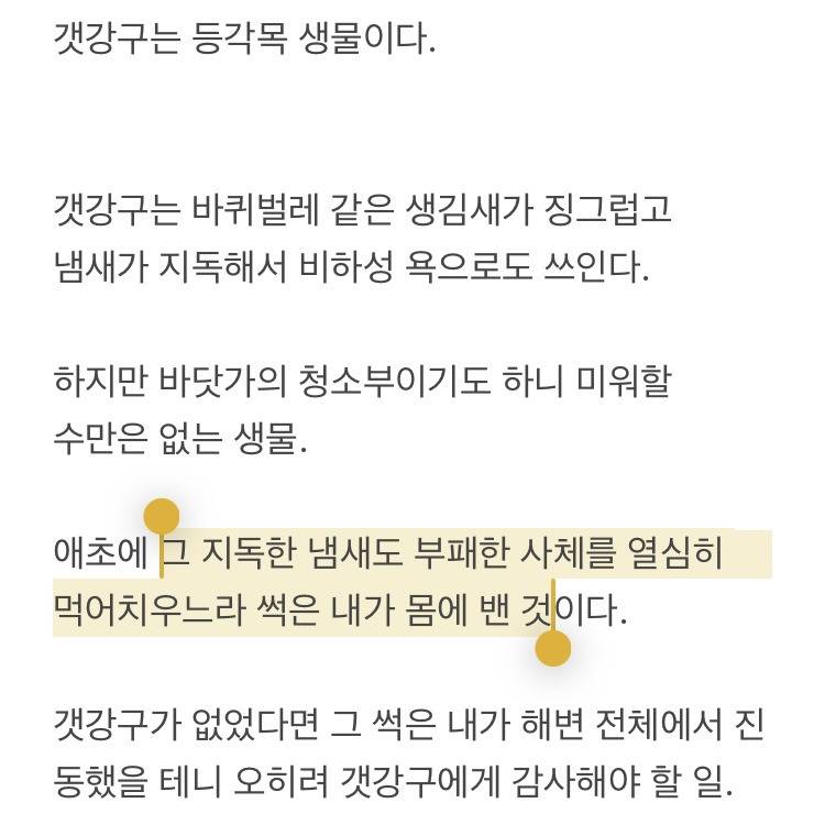 해파리, 물고기 그리고 조개껍데기, 갑각류와 갯강구 그리고 | 인스티즈