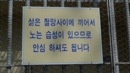 마음이 힘들 때 도움 됐던 글귀들.jpg | 인스티즈