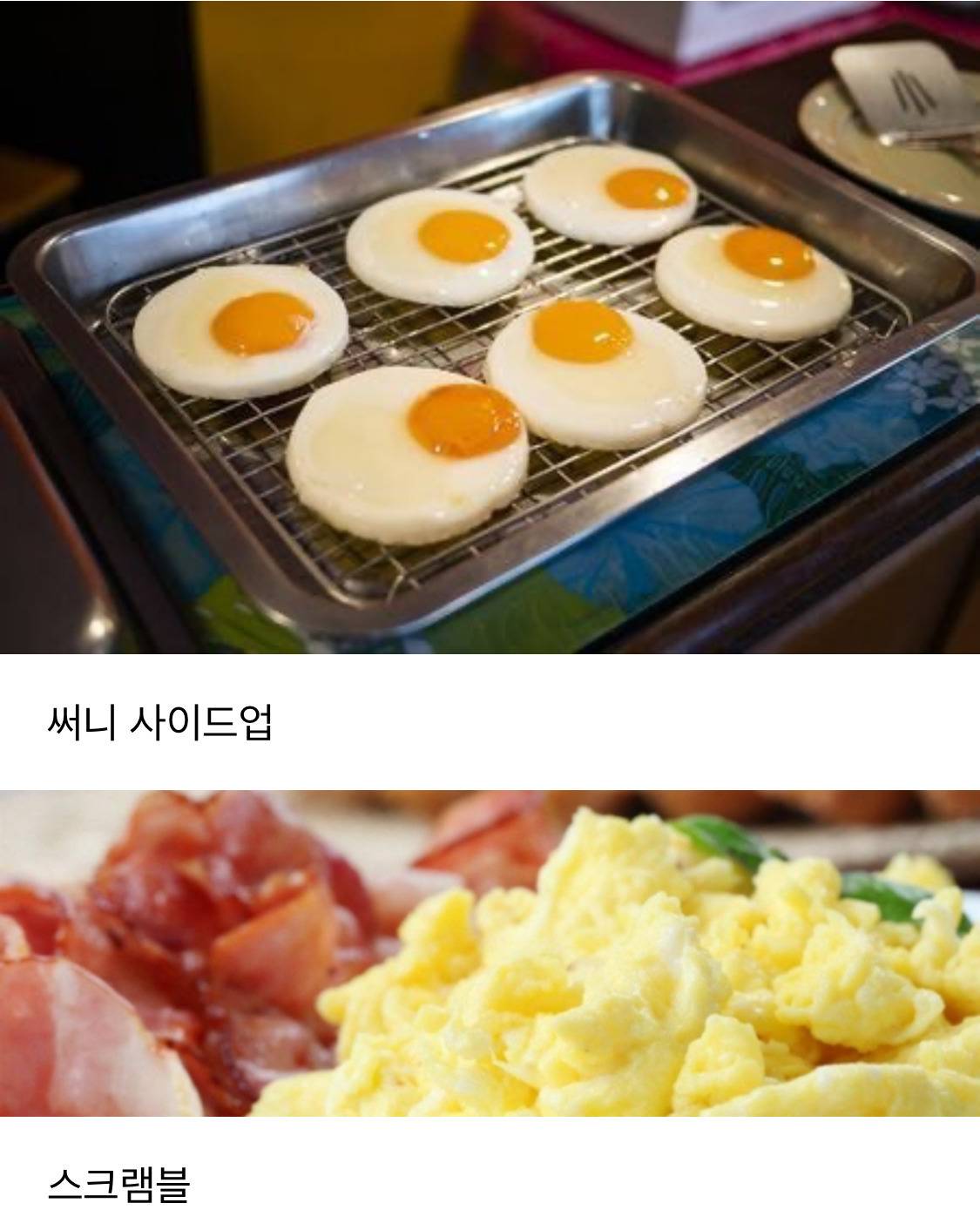 사람마다 갈린다는 호텔조식 달걀요리 취향..jpg