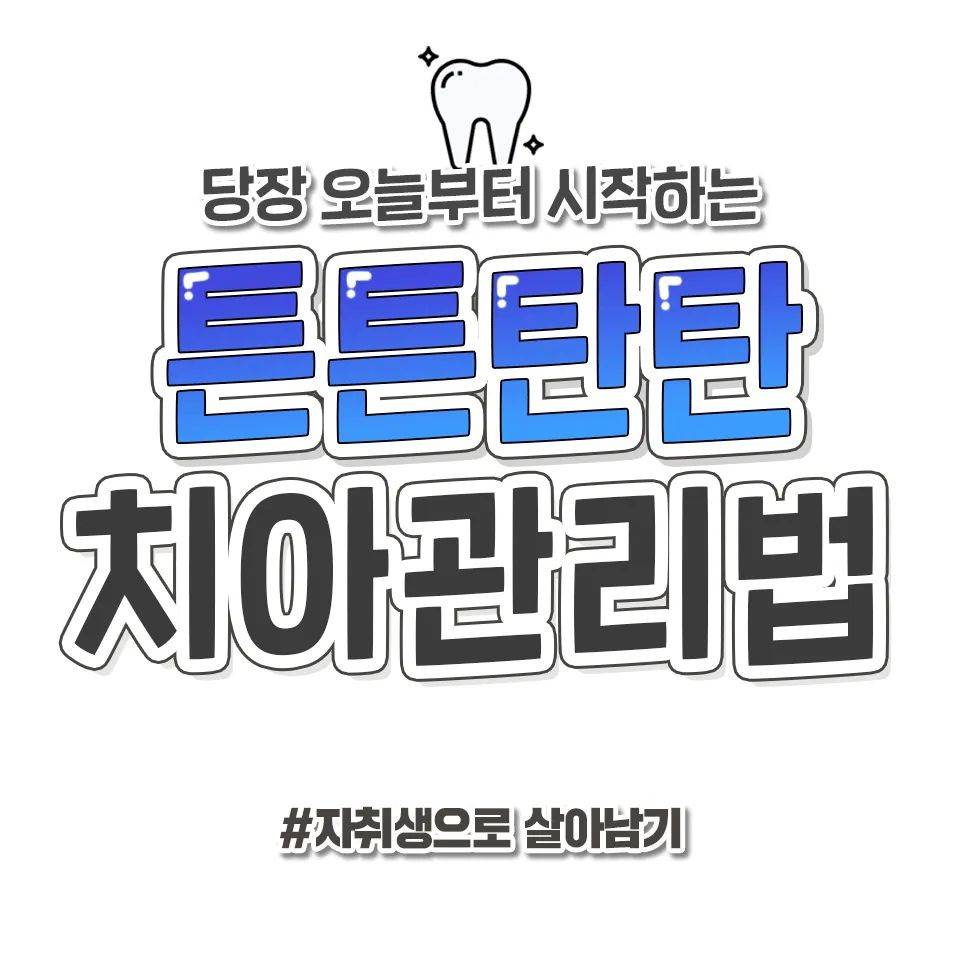 당장 오늘부터 시작하는 치아관리법 | 인스티즈