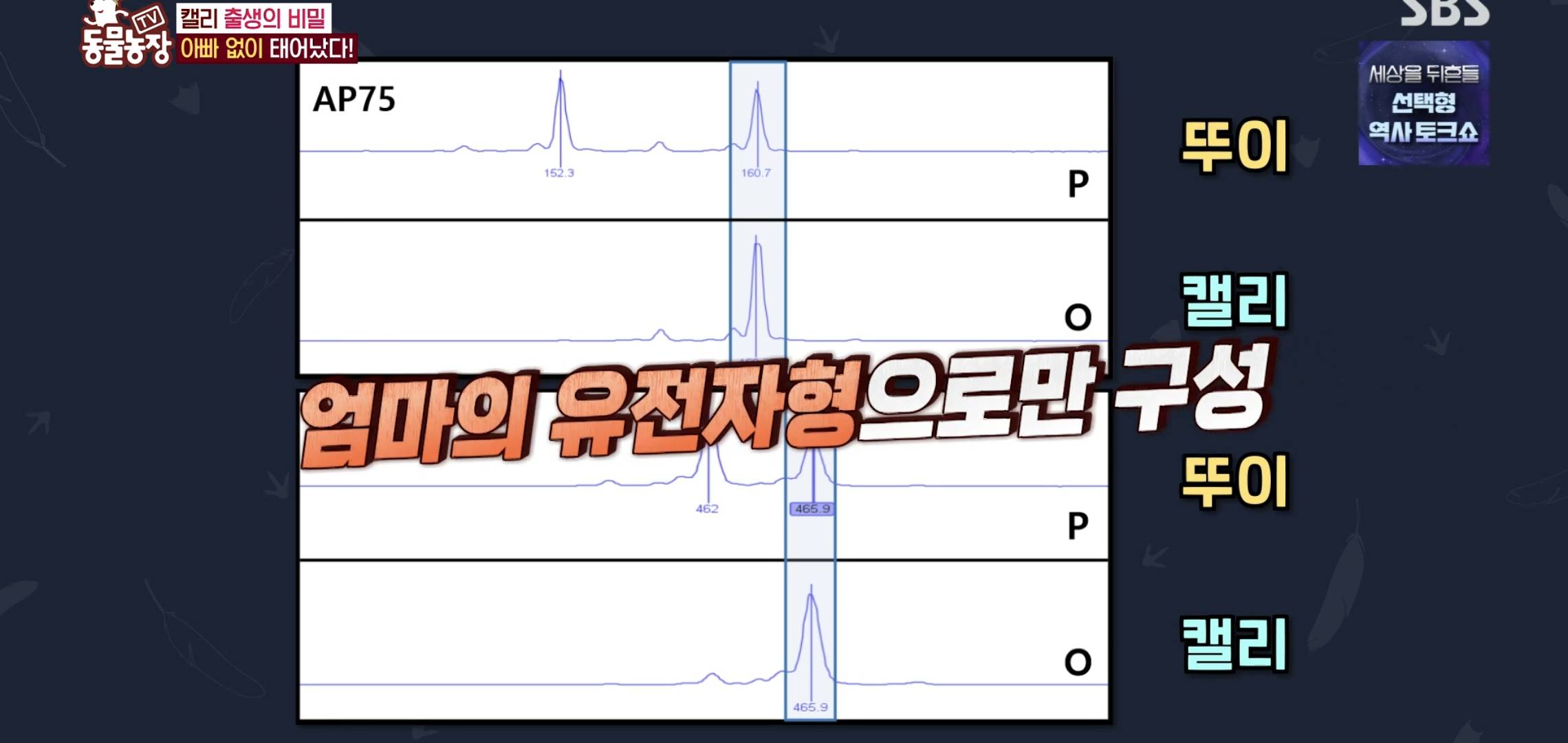 학계에 보고될 초희귀 사례급 반전인 오늘자 동물농장.jpg | 인스티즈