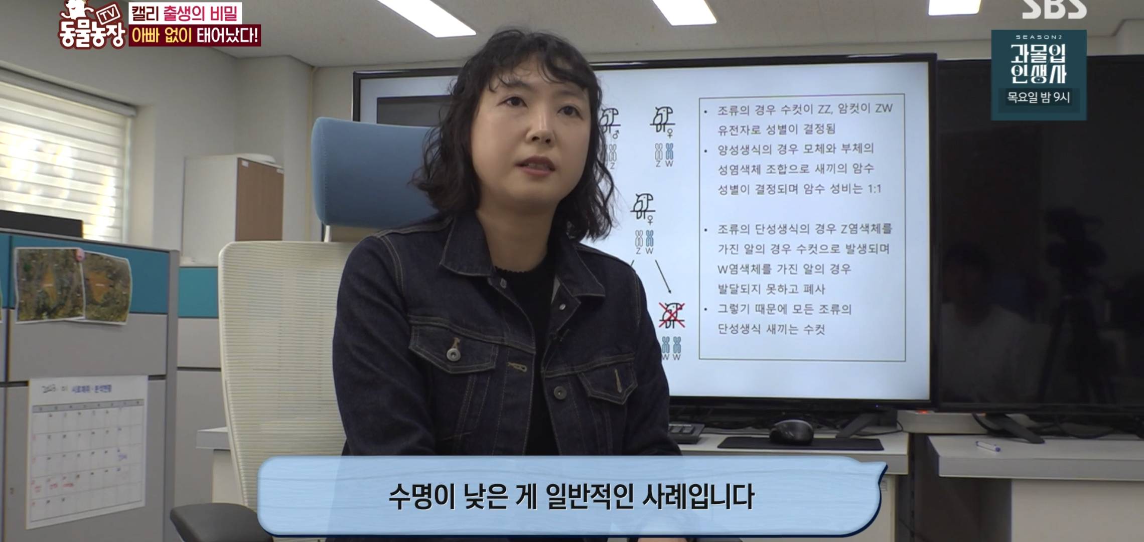 학계에 보고될 초희귀 사례급 반전인 오늘자 동물농장.jpg | 인스티즈