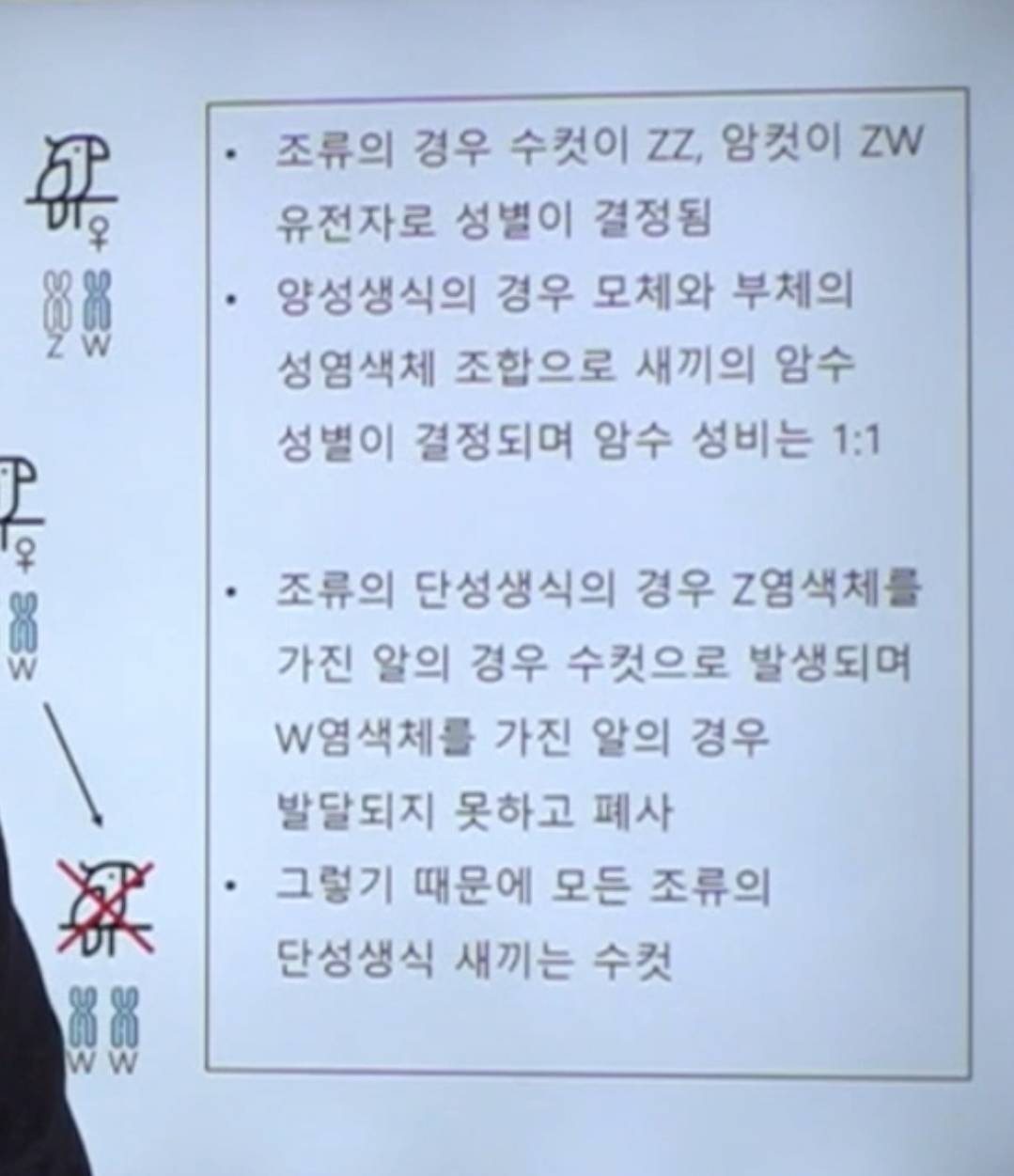 학계에 보고될 초희귀 사례급 반전인 오늘자 동물농장.jpg | 인스티즈