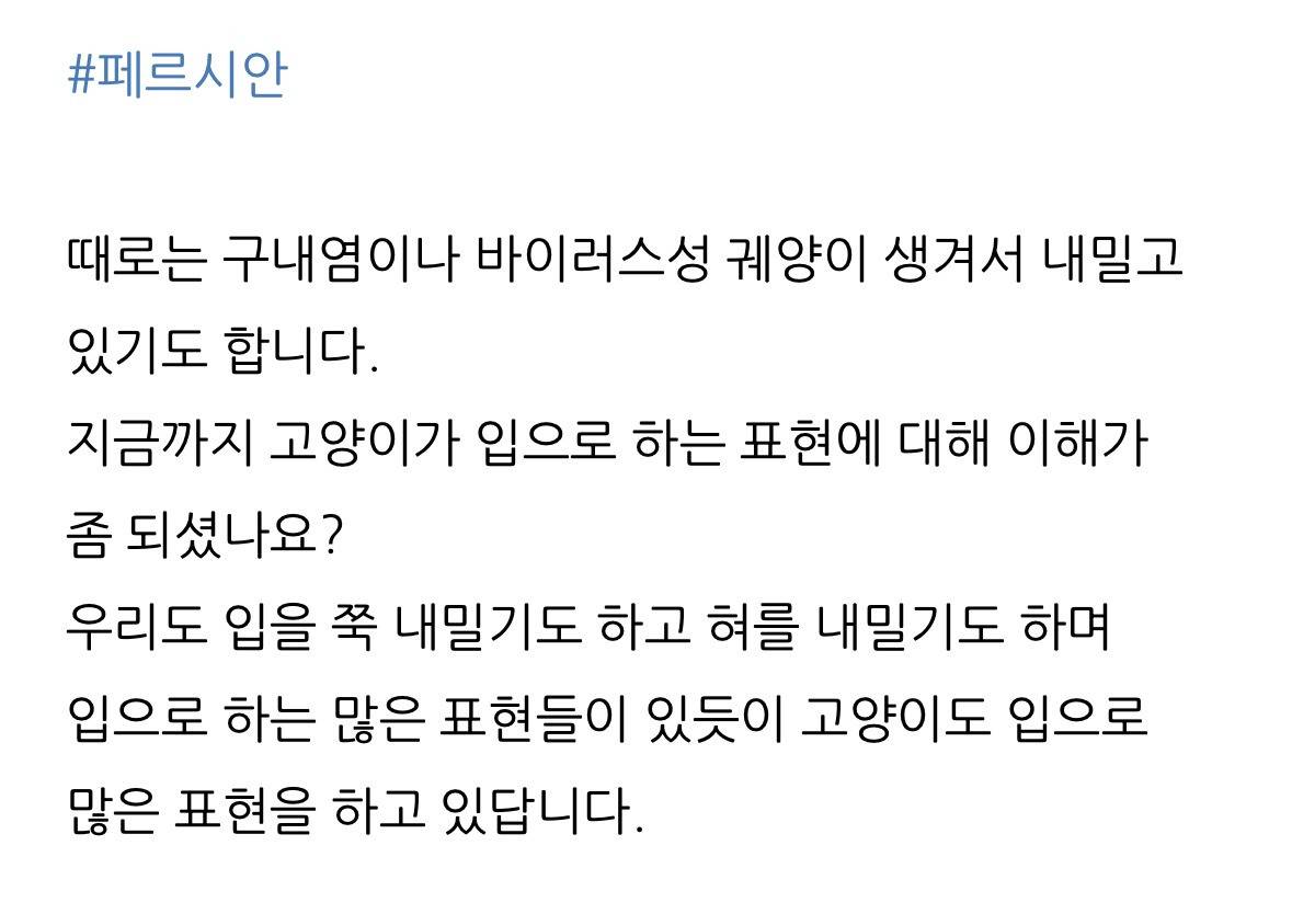 고양이 한숨과 혀 내밈의 이유 | 인스티즈