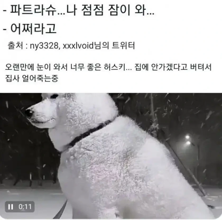 집에 가기 싫은 이유 | 인스티즈