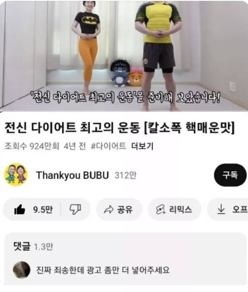 영상에 제발 광고 넣어 달라고 요청하는 유튜버 팬들 | 인스티즈