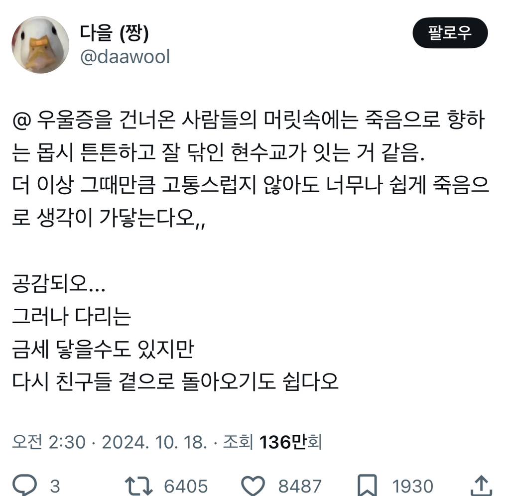 우울증을 건너온 사람들의 머릿속에는 죽음으로 향하는 몹시 튼튼하고 잘 닦인 현수교가 잇는 거 같음.twt | 인스티즈