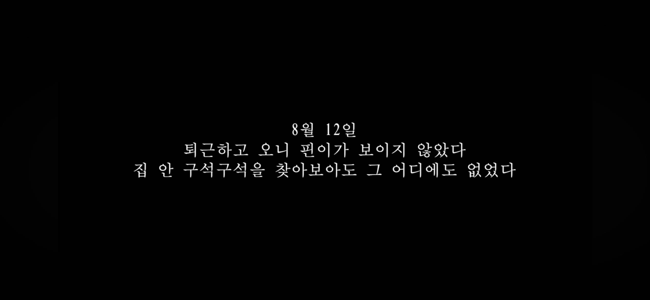 커플유튜버 다나나 고양이 청소업체 부주의로 무지개다리 건넜대 | 인스티즈