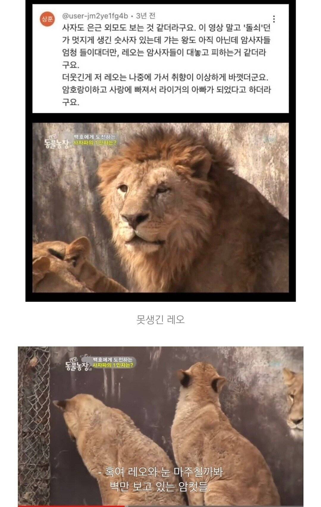 외모지상주의의 잔인한 현실 | 인스티즈