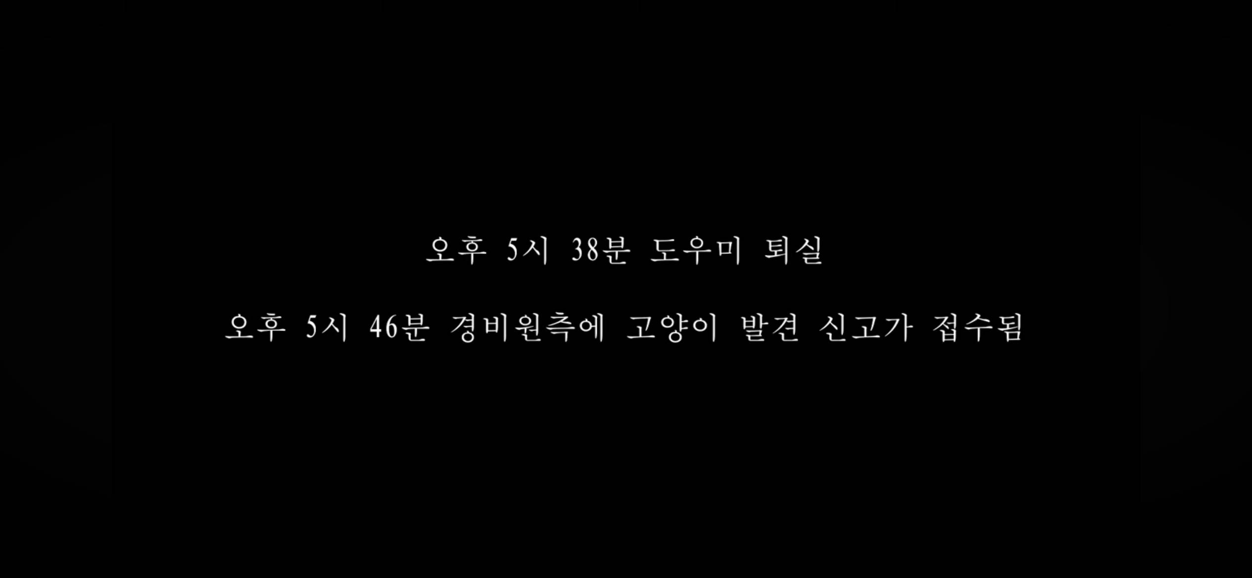 커플유튜버 다나나 고양이 청소업체 부주의로 무지개다리 건넜대 | 인스티즈