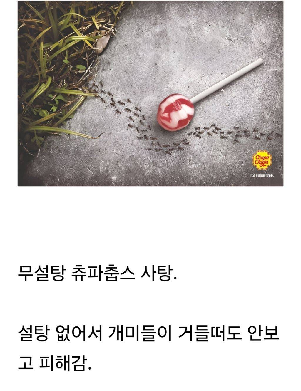 진짜로 신박한 무설탕 제품 광고 | 인스티즈