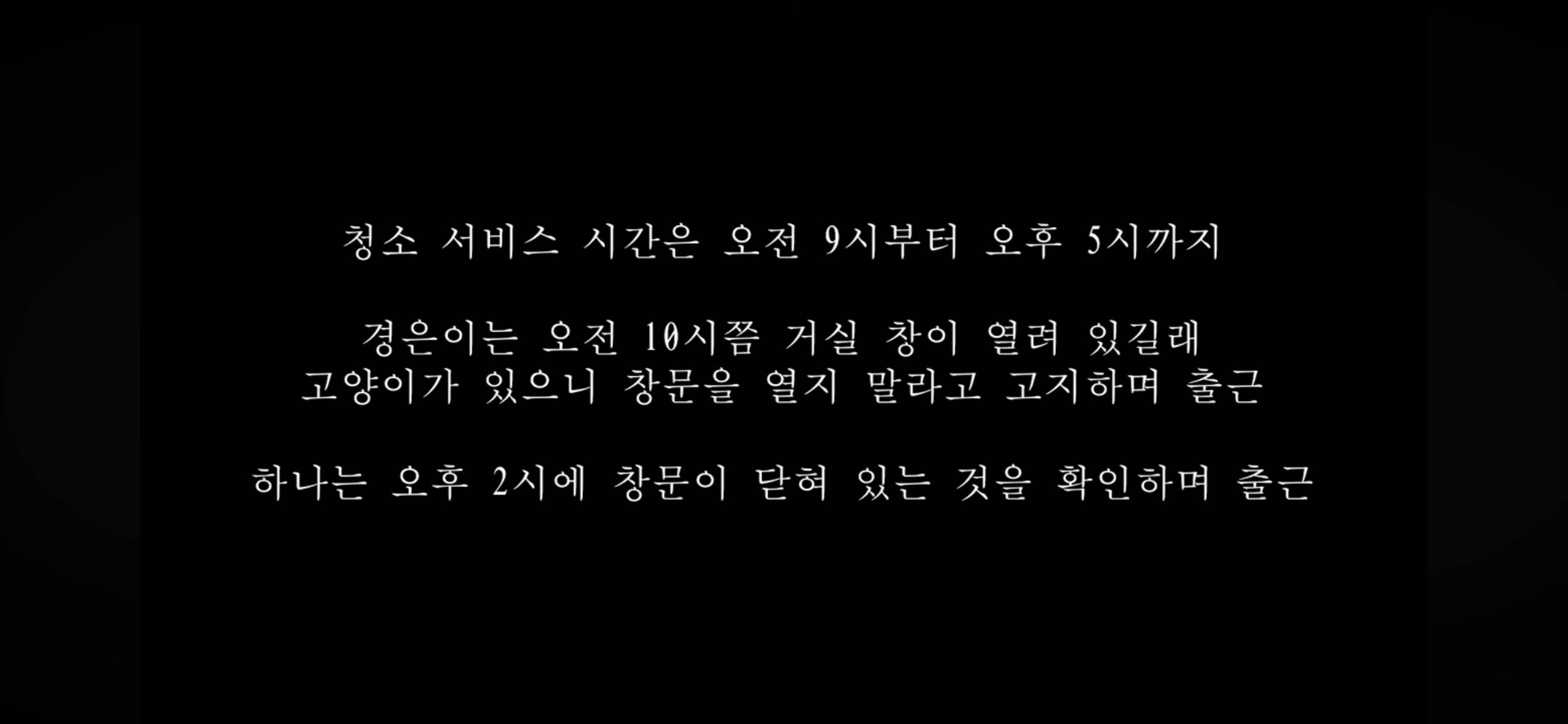 커플유튜버 다나나 고양이 청소업체 부주의로 무지개다리 건넜대 | 인스티즈