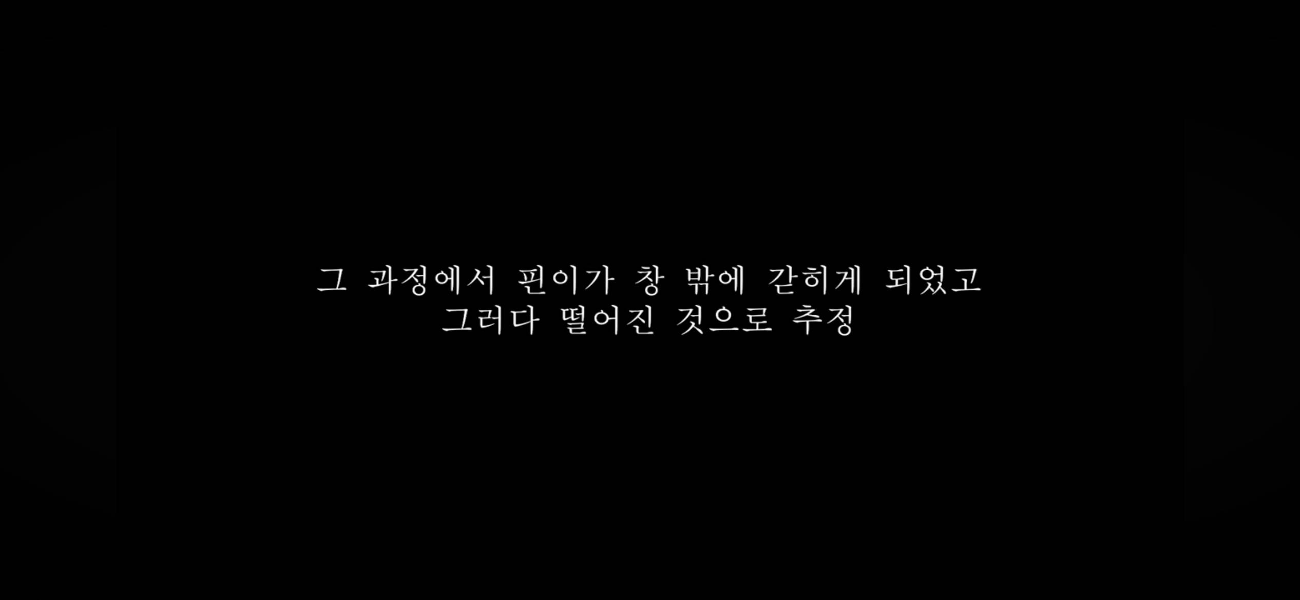 커플유튜버 다나나 고양이 청소업체 부주의로 무지개다리 건넜대 | 인스티즈