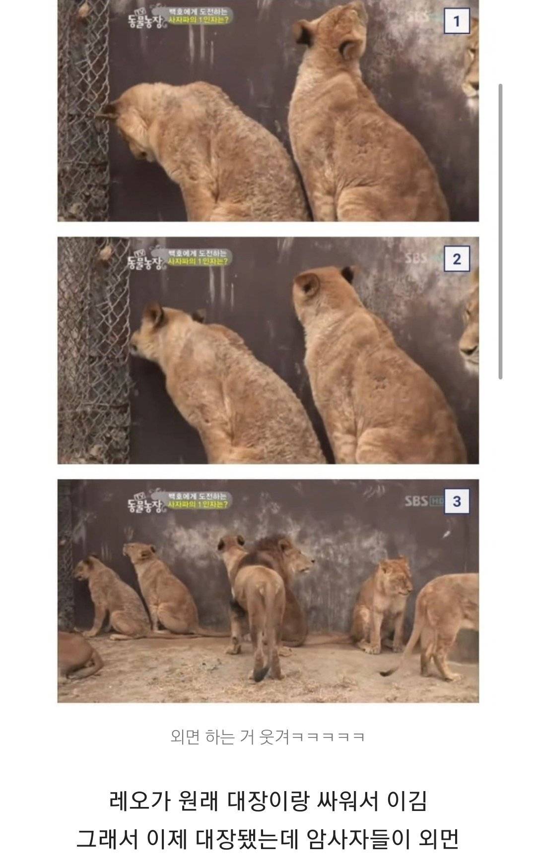 외모지상주의의 잔인한 현실 | 인스티즈