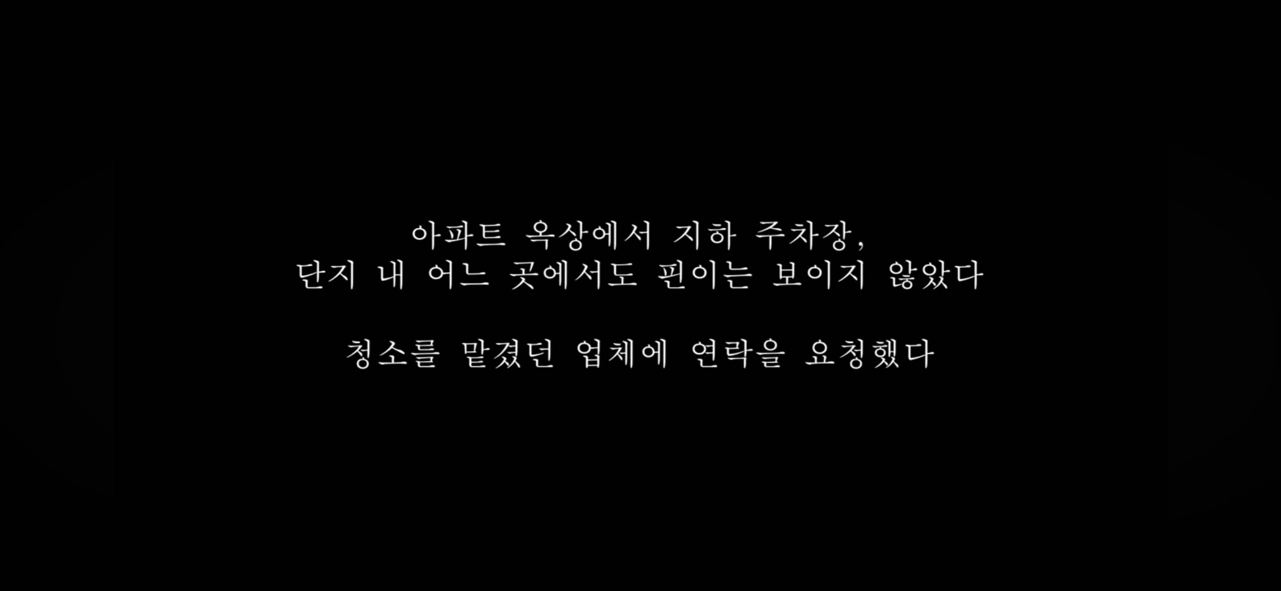 커플유튜버 다나나 고양이 청소업체 부주의로 무지개다리 건넜대 | 인스티즈